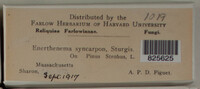 Image Associated With the Occurence